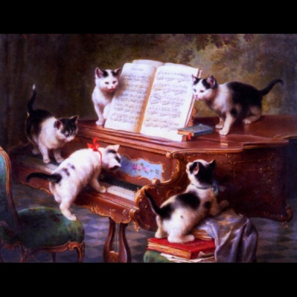 Meet your Posher, Posh